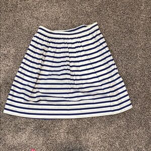 Striped Blue and White Women's Skirt